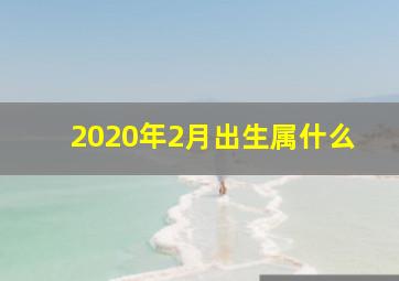 2020年2月出生属什么