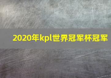 2020年kpl世界冠军杯冠军