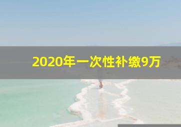 2020年一次性补缴9万