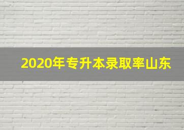 2020年专升本录取率山东