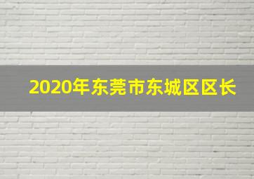 2020年东莞市东城区区长