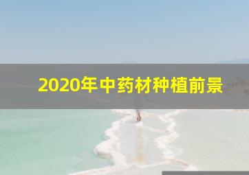 2020年中药材种植前景