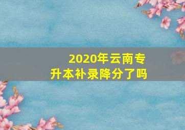 2020年云南专升本补录降分了吗