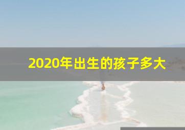 2020年出生的孩子多大