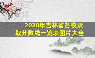 2020年吉林省各校录取分数线一览表图片大全