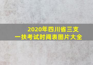 2020年四川省三支一扶考试时间表图片大全