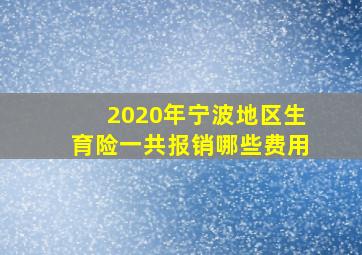 2020年宁波地区生育险一共报销哪些费用