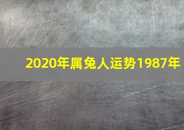 2020年属兔人运势1987年