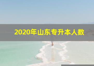 2020年山东专升本人数