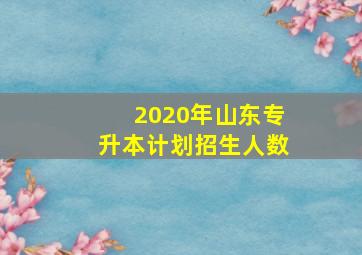 2020年山东专升本计划招生人数