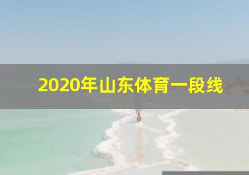 2020年山东体育一段线