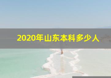 2020年山东本科多少人