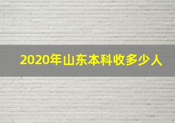 2020年山东本科收多少人