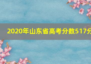 2020年山东省高考分数517分