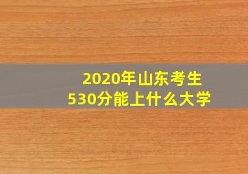 2020年山东考生530分能上什么大学