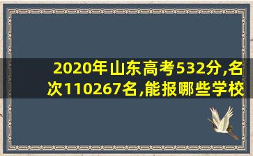 2020年山东高考532分,名次110267名,能报哪些学校