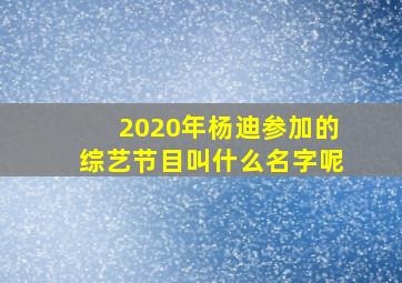 2020年杨迪参加的综艺节目叫什么名字呢