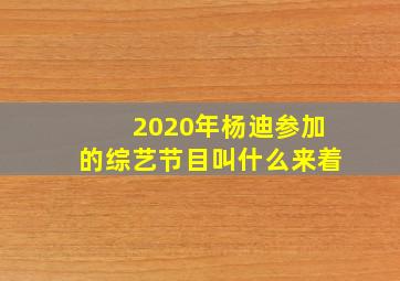 2020年杨迪参加的综艺节目叫什么来着