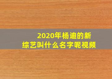 2020年杨迪的新综艺叫什么名字呢视频