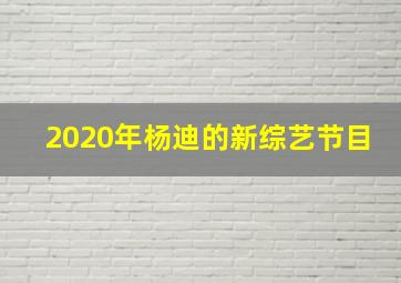 2020年杨迪的新综艺节目