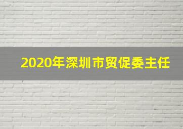 2020年深圳市贸促委主任