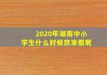 2020年湖南中小学生什么时候放寒假呢