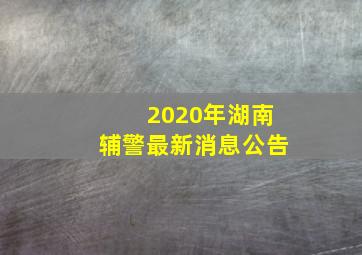 2020年湖南辅警最新消息公告