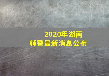 2020年湖南辅警最新消息公布