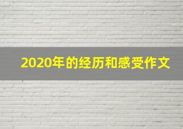 2020年的经历和感受作文