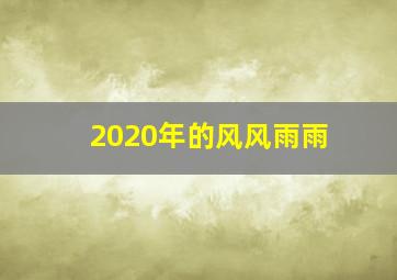 2020年的风风雨雨