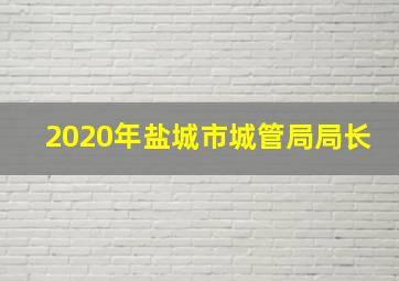 2020年盐城市城管局局长