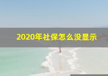 2020年社保怎么没显示