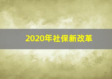 2020年社保新改革