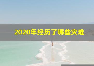 2020年经历了哪些灾难