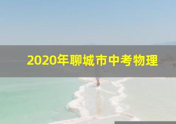 2020年聊城市中考物理