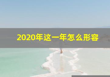 2020年这一年怎么形容