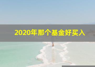 2020年那个基金好买入