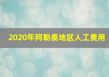 2020年阿勒泰地区人工费用