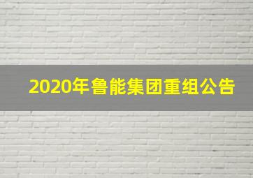 2020年鲁能集团重组公告