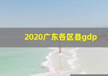 2020广东各区县gdp