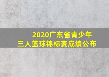 2020广东省青少年三人篮球锦标赛成绩公布