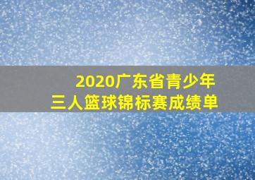 2020广东省青少年三人篮球锦标赛成绩单