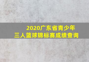 2020广东省青少年三人篮球锦标赛成绩查询