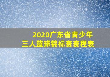 2020广东省青少年三人篮球锦标赛赛程表