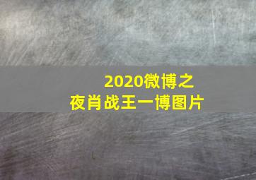 2020微博之夜肖战王一博图片