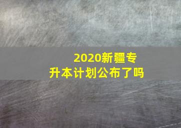 2020新疆专升本计划公布了吗