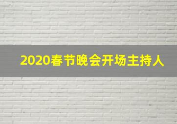 2020春节晚会开场主持人