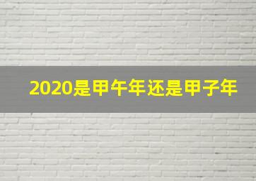 2020是甲午年还是甲子年