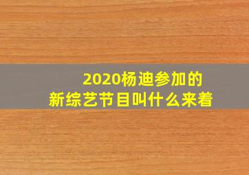 2020杨迪参加的新综艺节目叫什么来着