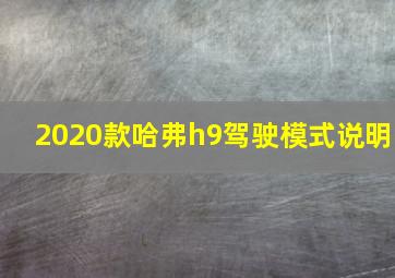 2020款哈弗h9驾驶模式说明